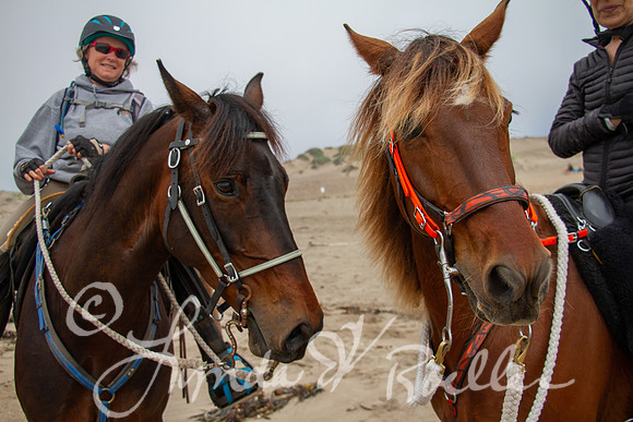 MDO Endurance 2019-5625