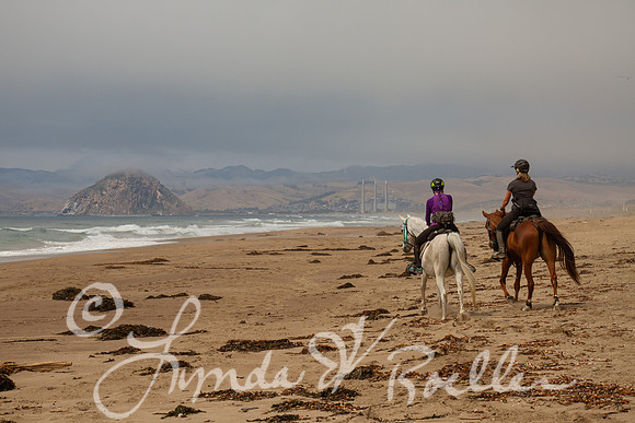 MDO Endurance 2019-5641