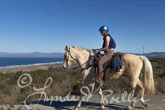 1Y9A5353