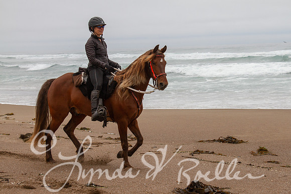 MDO Endurance 2019-5603