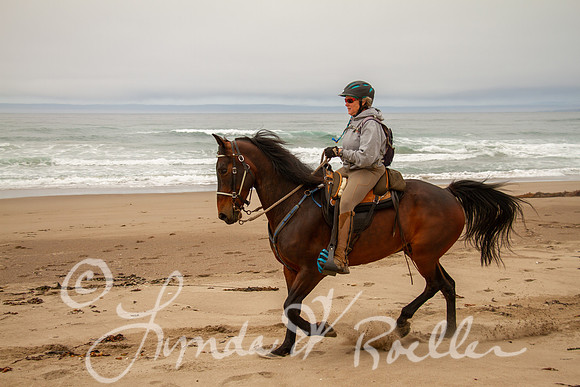 MDO Endurance 2019-5547