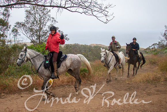 MDO Endurance 2019-5898
