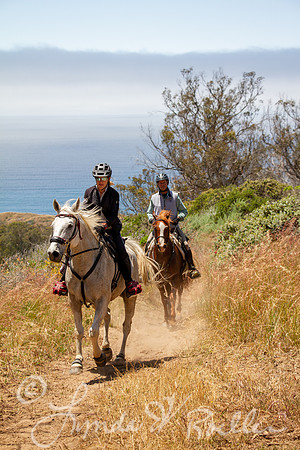 MDO Endurance 2019-5967