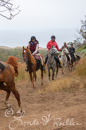 MDO Endurance 2019-5895