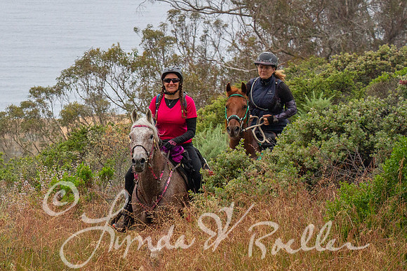 MDO Endurance 2019-5913
