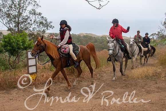 MDO Endurance 2019-5896