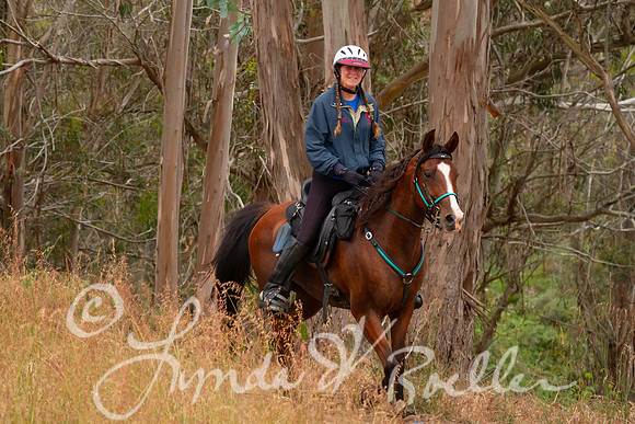 MDO Endurance 2019-5921