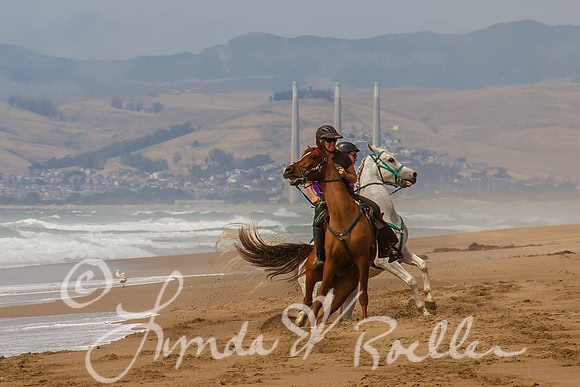 MDO Endurance 2019-5771