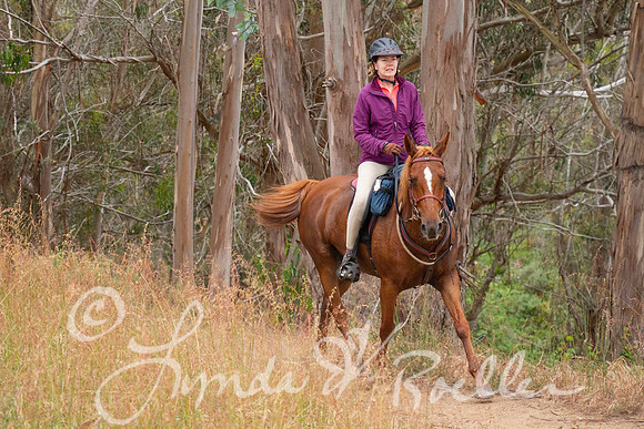 MDO Endurance 2019-5924
