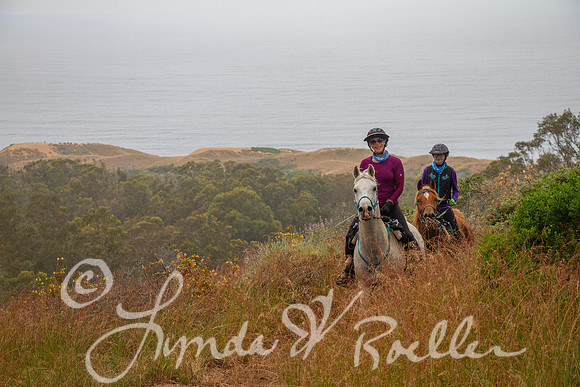 MDO Endurance 2019-5901