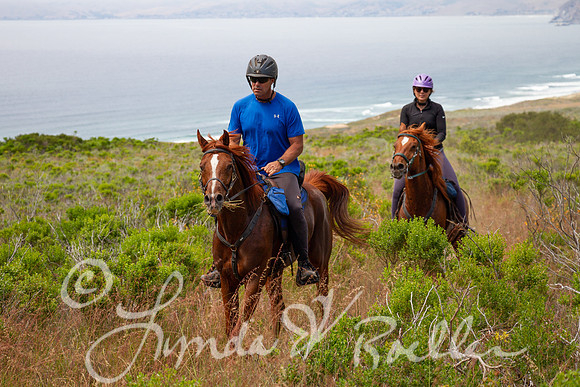 MDO Endurance 2019-6051