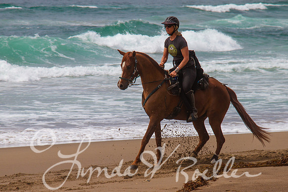 MDO Endurance 2019-5666