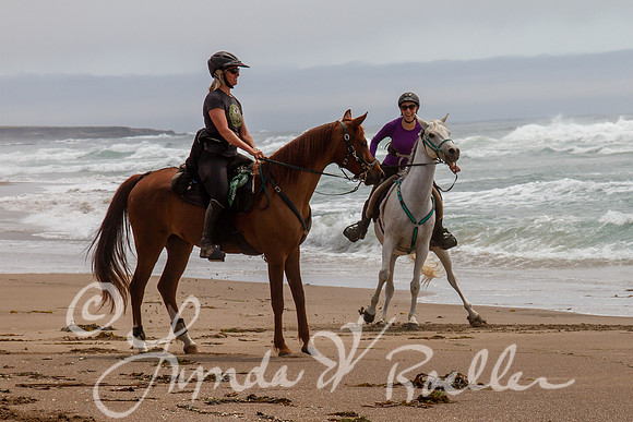 MDO Endurance 2019-5676