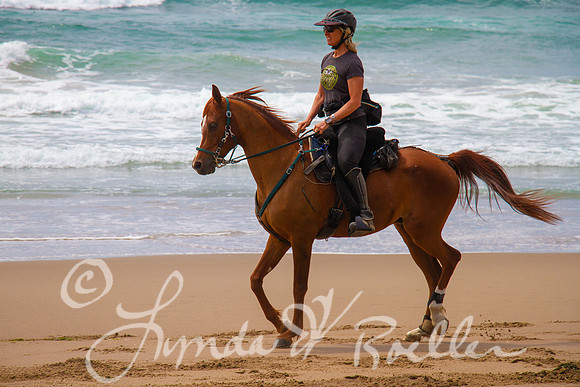 MDO Endurance 2019-5670