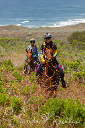 MDO Endurance 2019-6000