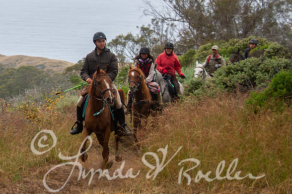MDO Endurance 2019-5889