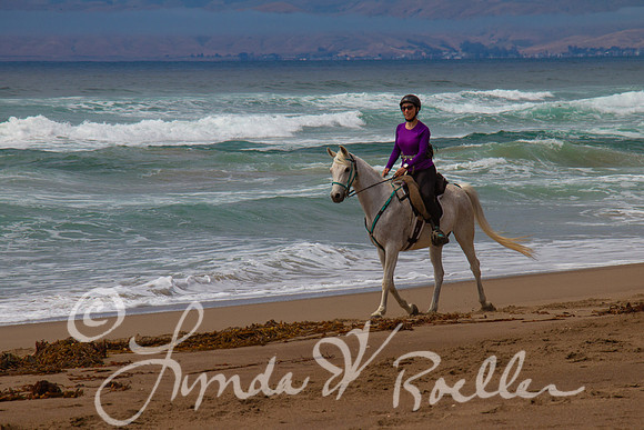 MDO Endurance 2019-5655