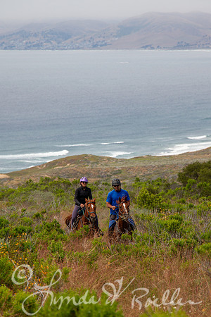 MDO Endurance 2019-6044