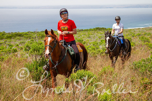 MDO Endurance 2019-6035