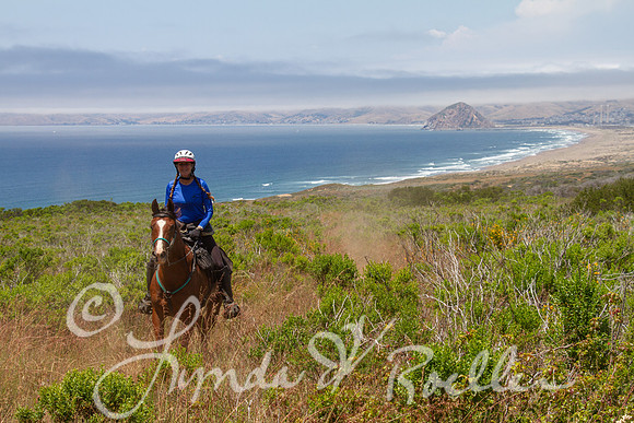 MDO Endurance 2019-5993