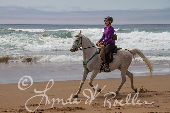 MDO Endurance 2019-5740
