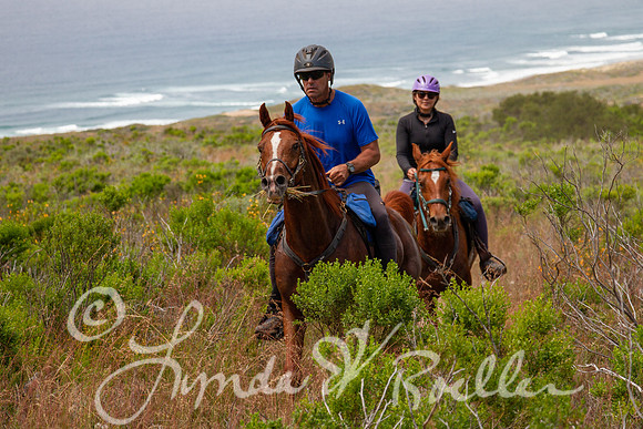 MDO Endurance 2019-6050