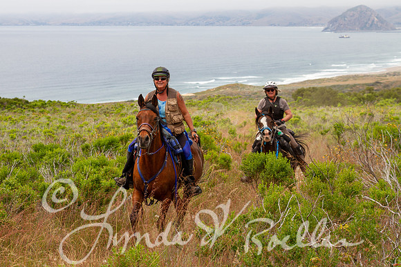 MDO Endurance 2019-6073