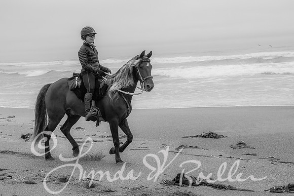 MDO Endurance 2019-5603-2