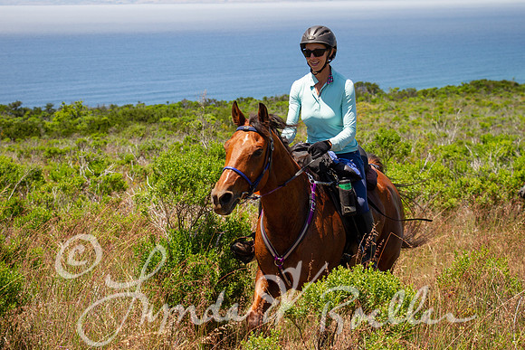 MDO Endurance 2019-6018
