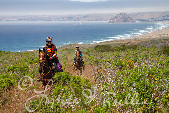 MDO Endurance 2019-6001
