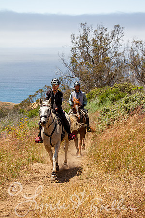 MDO Endurance 2019-5966