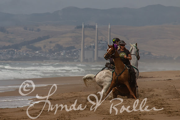 MDO Endurance 2019-5772