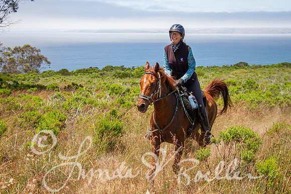 MDO Endurance 2019-6020