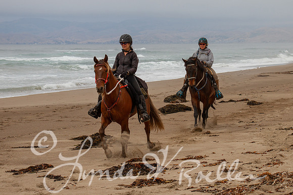 MDO Endurance 2019-5539