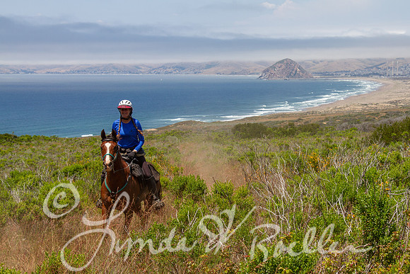 MDO Endurance 2019-5992