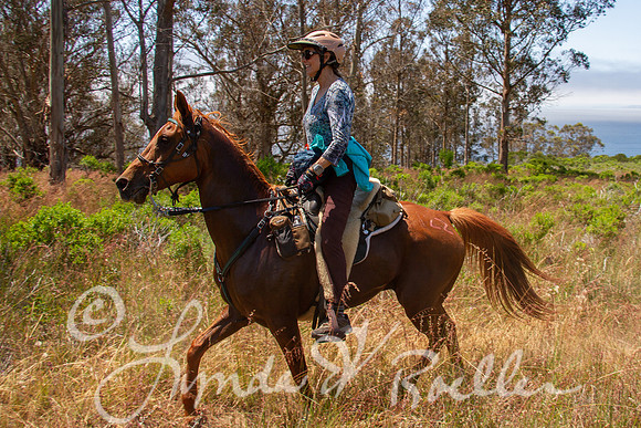 MDO Endurance 2019-6008